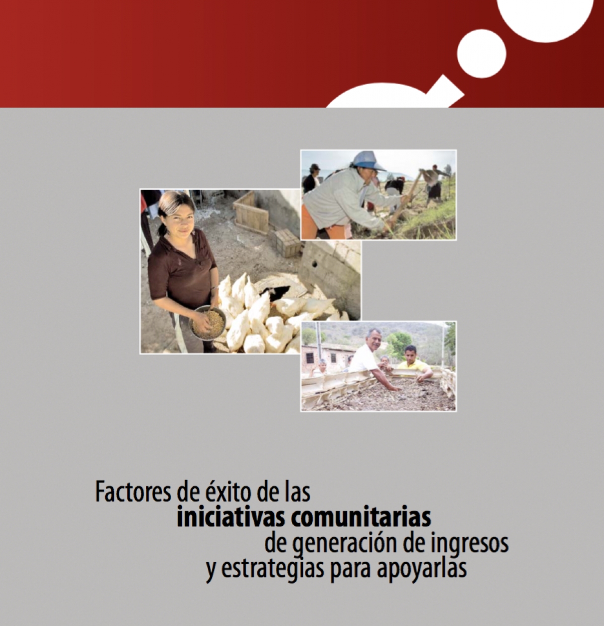 Factores de éxito de las iniciativas comunitarias de generación de ingresos y estrategias para apoyarlas